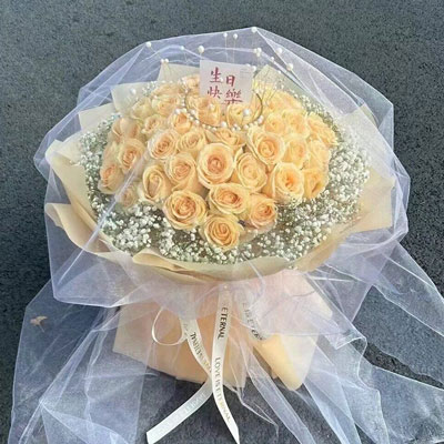 佳木斯52朵香槟玫瑰满天星，你就是我的全部
